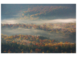 panoramic-3-piece-canvas-print-misty-morning-ii-a