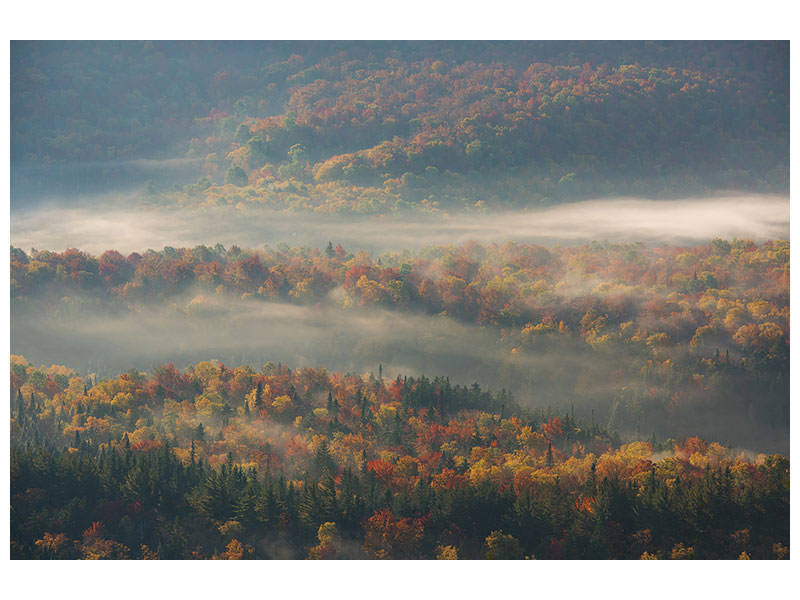 4-piece-canvas-print-misty-morning-ii-a