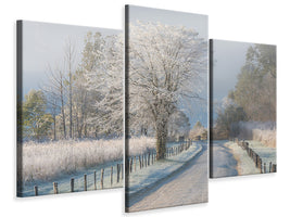 modern-3-piece-canvas-print-a-frosty-morning