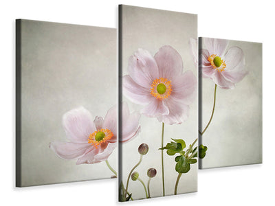 modern-3-piece-canvas-print-anemones-ii