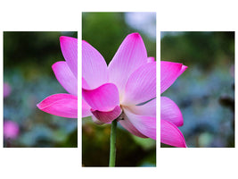 modern-3-piece-canvas-print-beautiful-lotus