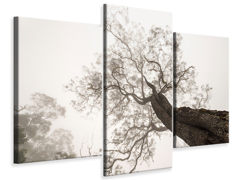 modern-3-piece-canvas-print-between-heaven-and-earth