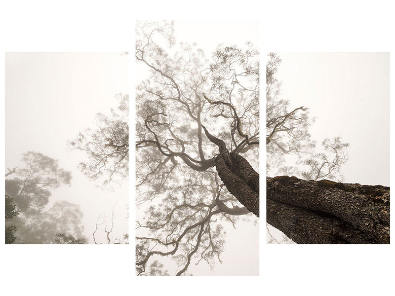 modern-3-piece-canvas-print-between-heaven-and-earth