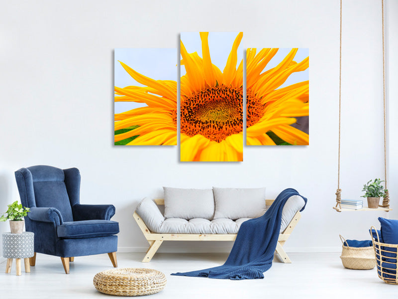 modern-3-piece-canvas-print-big-sunflower