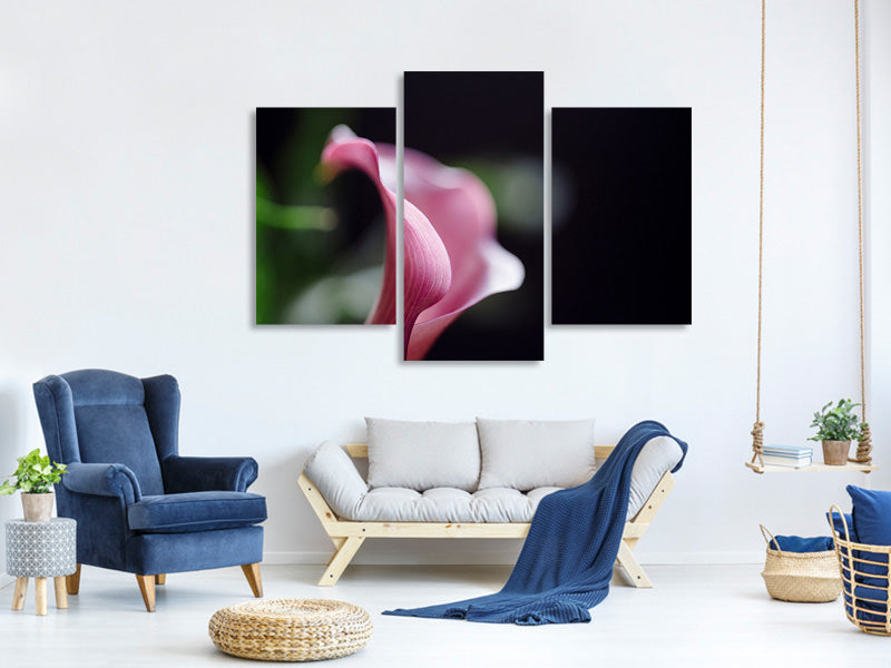 modern-3-piece-canvas-print-calla-in-purple