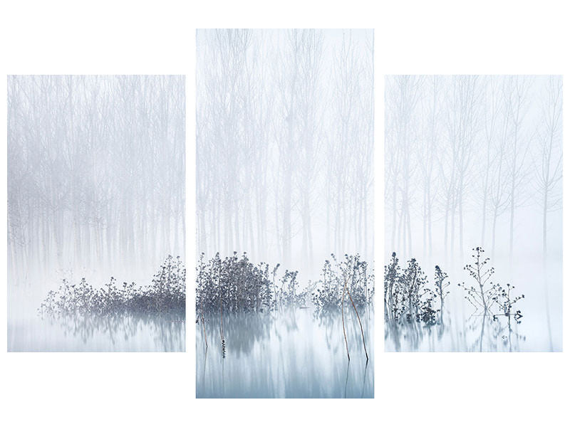 modern-3-piece-canvas-print-cold-and-foggy-morning-in-the-swamp