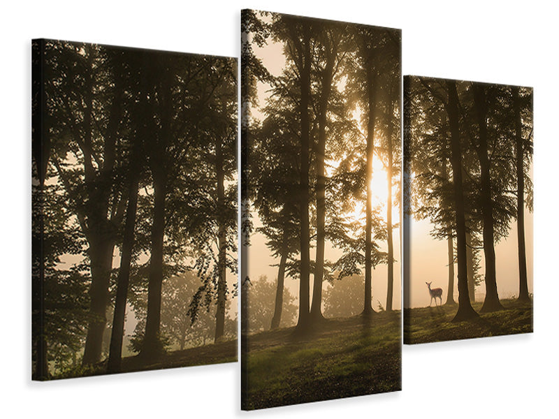 modern-3-piece-canvas-print-deer-in-the-morning-mist