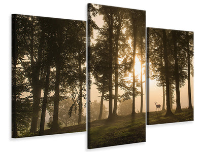 modern-3-piece-canvas-print-deer-in-the-morning-mist