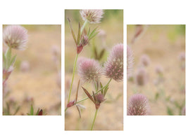 modern-3-piece-canvas-print-delicate-flowers