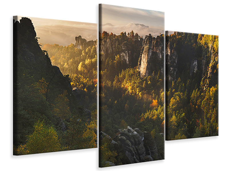 modern-3-piece-canvas-print-forest-whispers