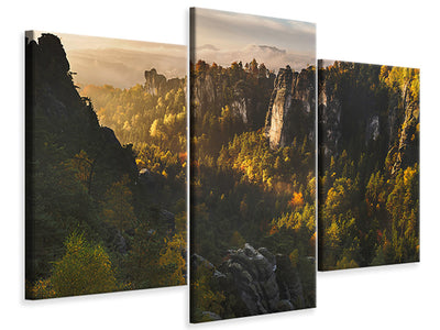 modern-3-piece-canvas-print-forest-whispers