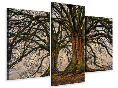 modern-3-piece-canvas-print-ghostly-trees