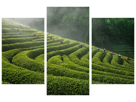 modern-3-piece-canvas-print-green-tea-farm
