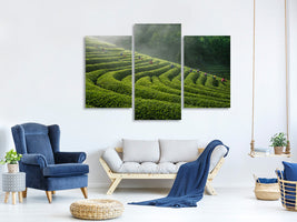 modern-3-piece-canvas-print-green-tea-farm