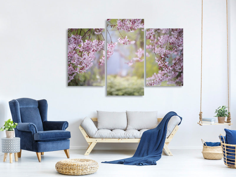 modern-3-piece-canvas-print-in-the-beautiful-spring