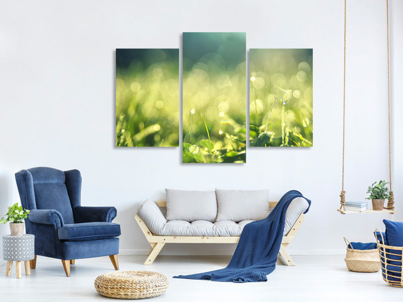 modern-3-piece-canvas-print-in-the-meadow