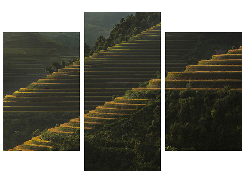 modern-3-piece-canvas-print-landing-fields-at-sunrise-beautiful-golden-light-shines