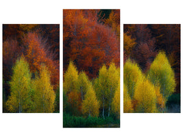 modern-3-piece-canvas-print-nimbrethil