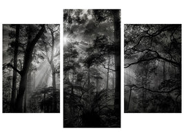 modern-3-piece-canvas-print-primary-forest
