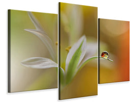modern-3-piece-canvas-print-sound-of-colors