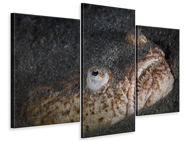 modern-3-piece-canvas-print-stargazer