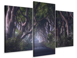 modern-3-piece-canvas-print-the-dark-hedges