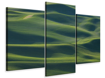 modern-3-piece-canvas-print-the-earths-fine-skin