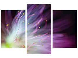 modern-3-piece-canvas-print-the-will-o-the-wisp
