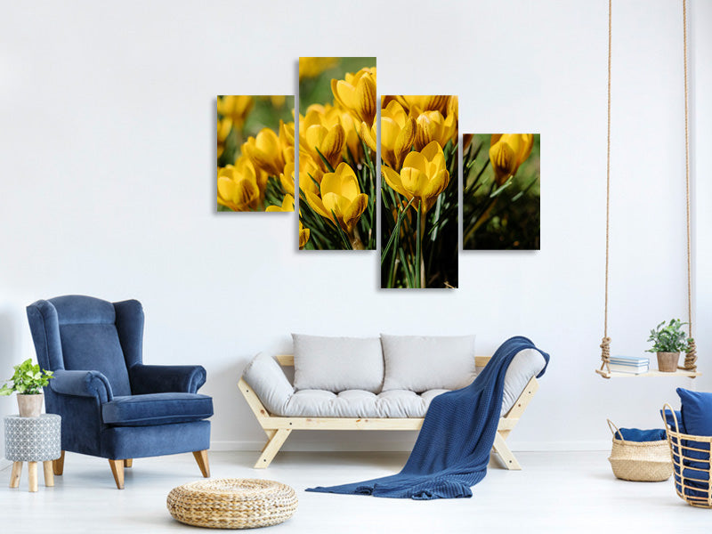 modern-4-piece-canvas-print-crocuses-in-spring