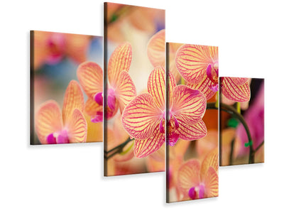 modern-4-piece-canvas-print-exotic-orchids