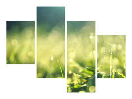 modern-4-piece-canvas-print-in-the-meadow