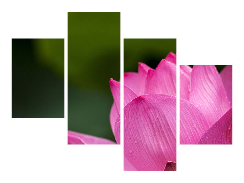 modern-4-piece-canvas-print-marko-lotus-in-pink