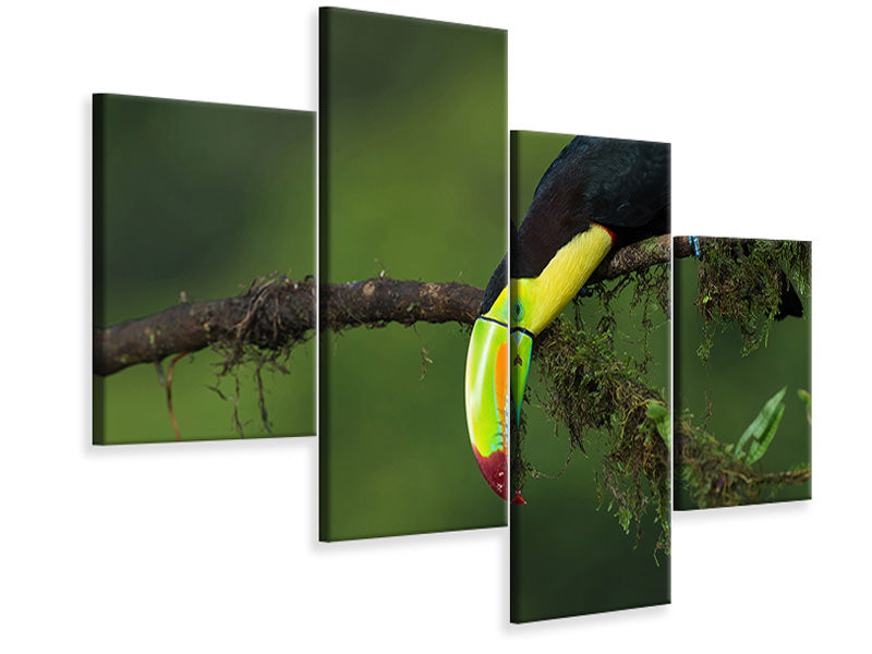 modern-4-piece-canvas-print-the-colors-of-costa-rica
