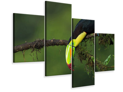 modern-4-piece-canvas-print-the-colors-of-costa-rica