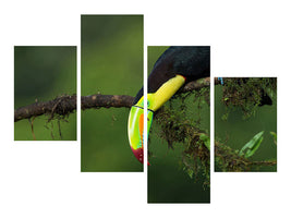 modern-4-piece-canvas-print-the-colors-of-costa-rica