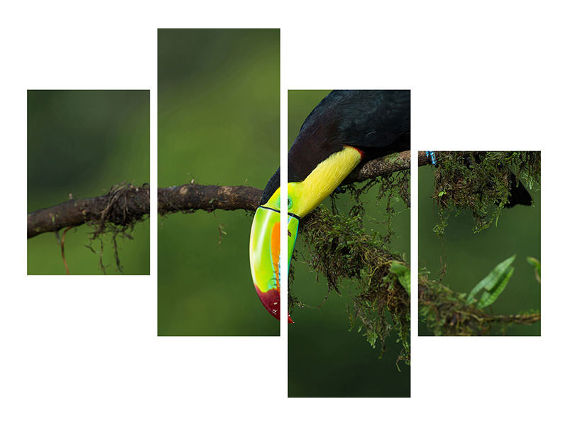 modern-4-piece-canvas-print-the-colors-of-costa-rica
