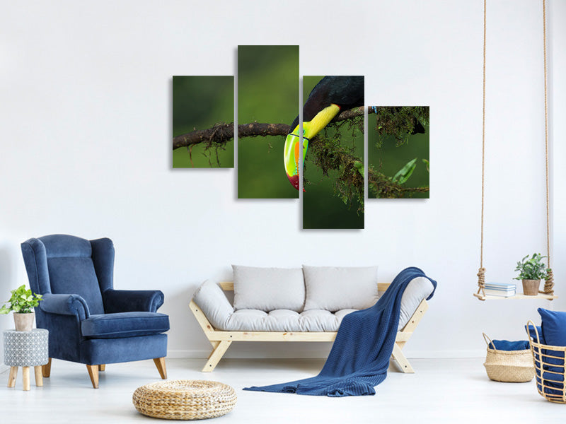 modern-4-piece-canvas-print-the-colors-of-costa-rica