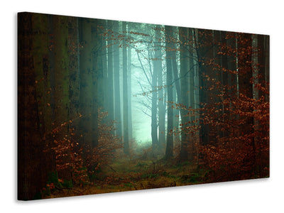 5-piece-canvas-print-mood-in-the-forest