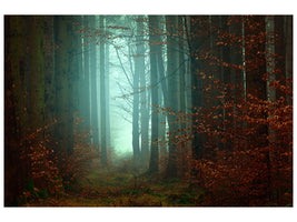 4-piece-canvas-print-mood-in-the-forest