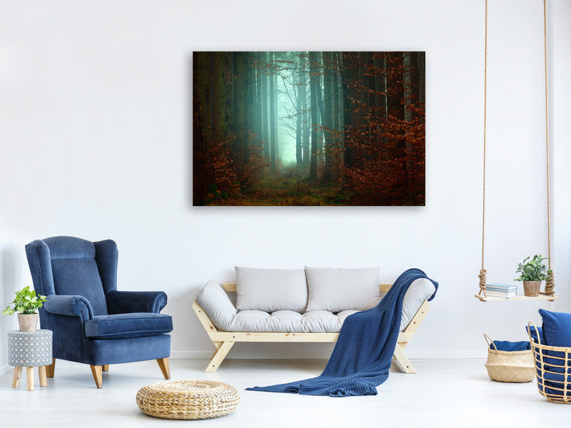 5-piece-canvas-print-mood-in-the-forest