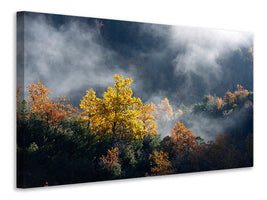 modern-4-piece-canvas-print-moonlight-forest