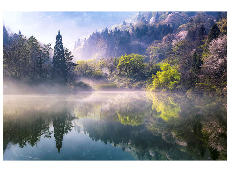 modern-4-piece-canvas-print-morning-calm