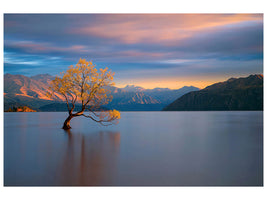 modern-4-piece-canvas-print-morning-glow