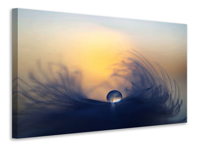 4-piece-canvas-print-morning-ii