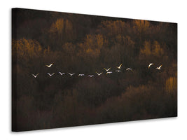 5-piece-canvas-print-morning-mood