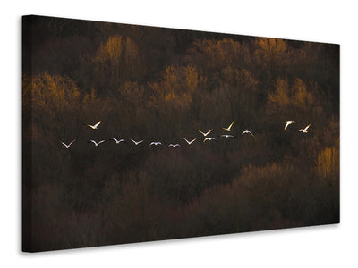 modern-3-piece-canvas-print-morning-mood