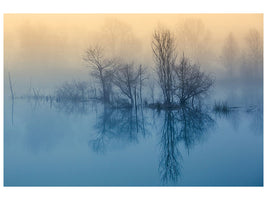 4-piece-canvas-print-morning-reflection-ii