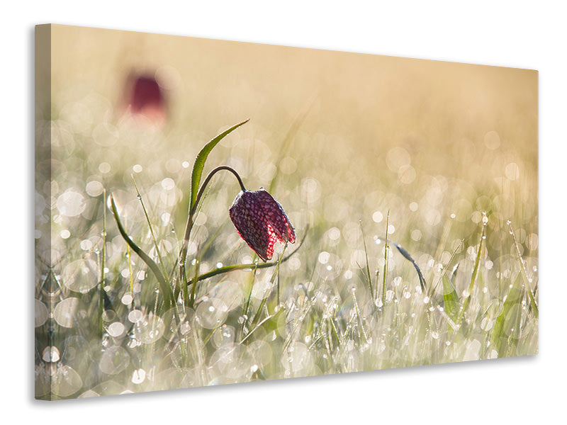 panoramic-3-piece-canvas-print-morningdew