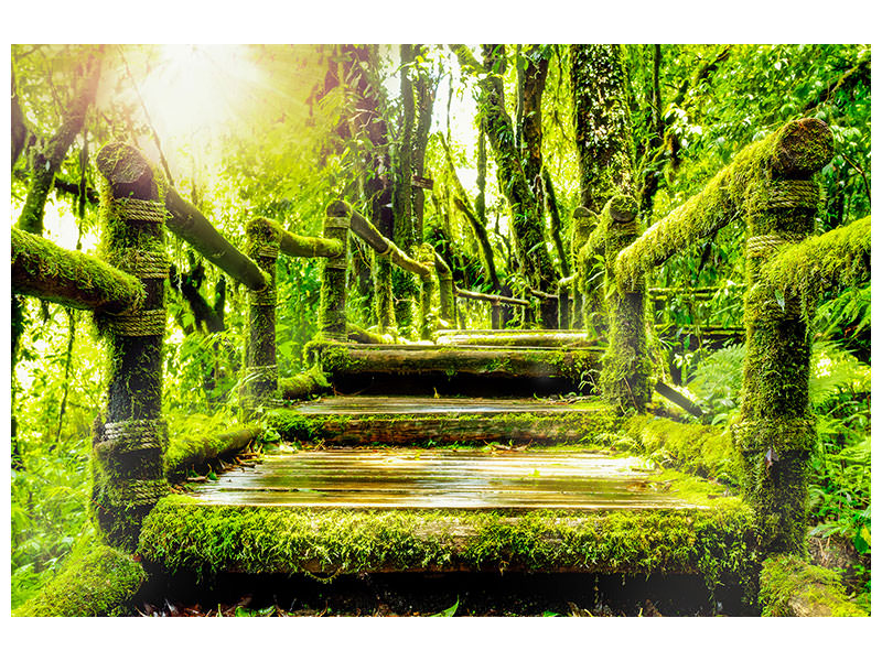 modern-3-piece-canvas-print-moss