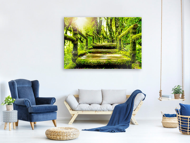 modern-4-piece-canvas-print-moss